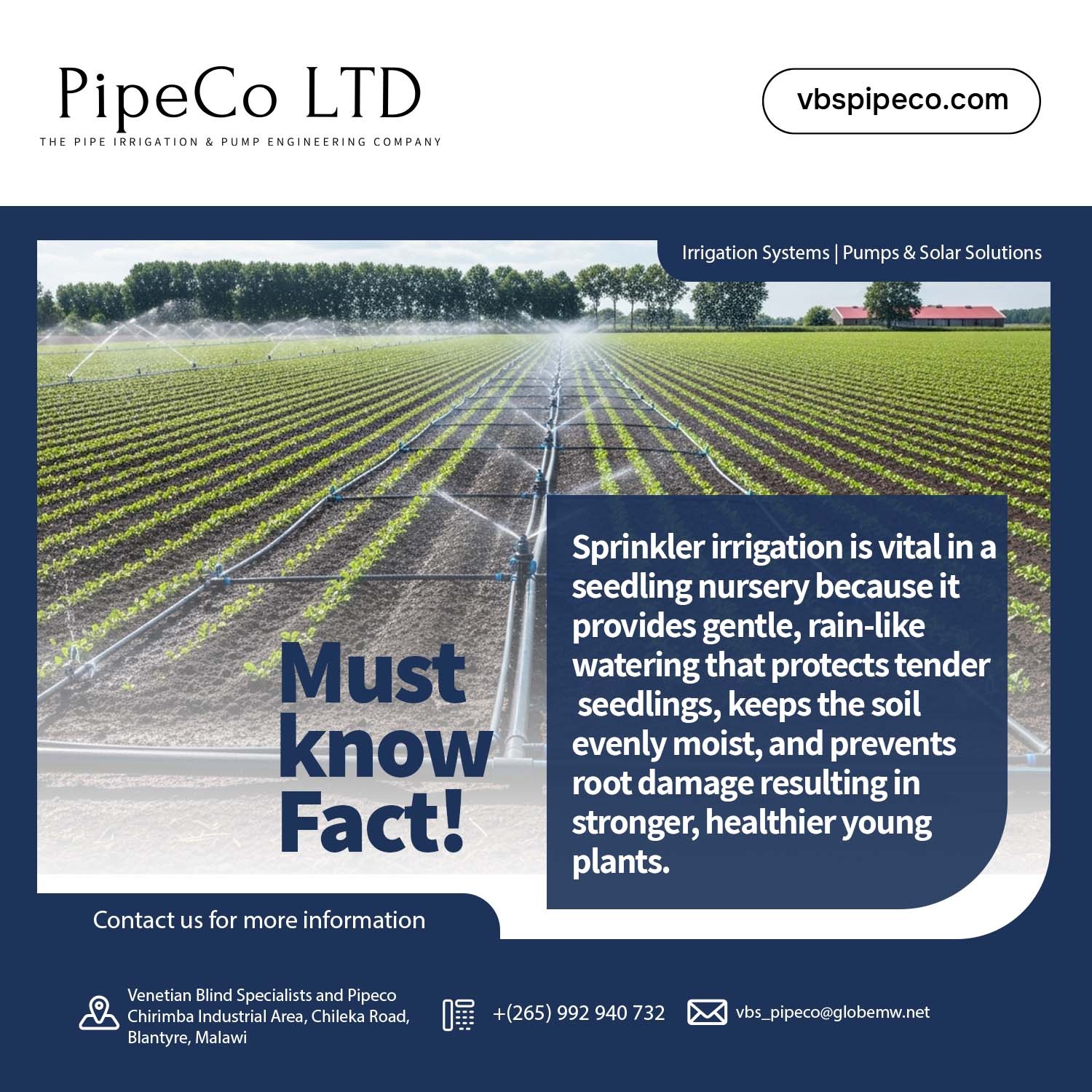 Protect Your Tender Seedlings Now With R...