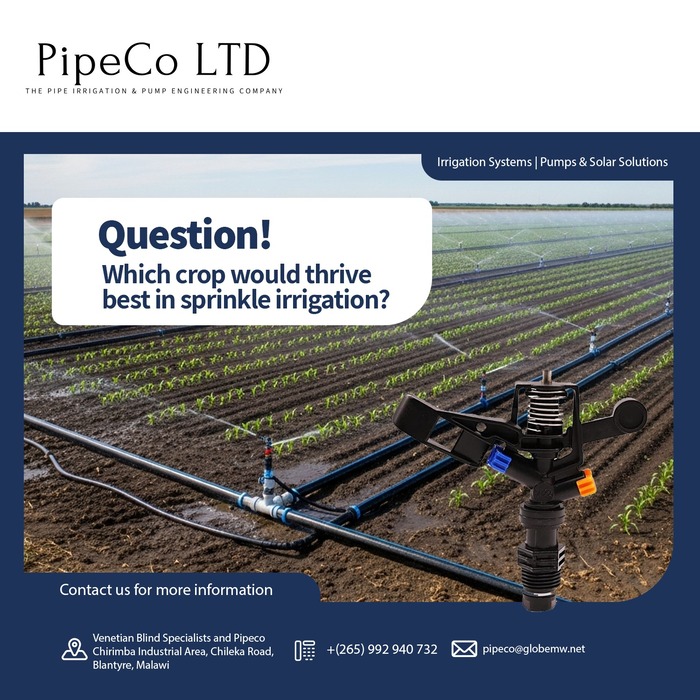 Ensure Your Crops Thrive Better Wit...