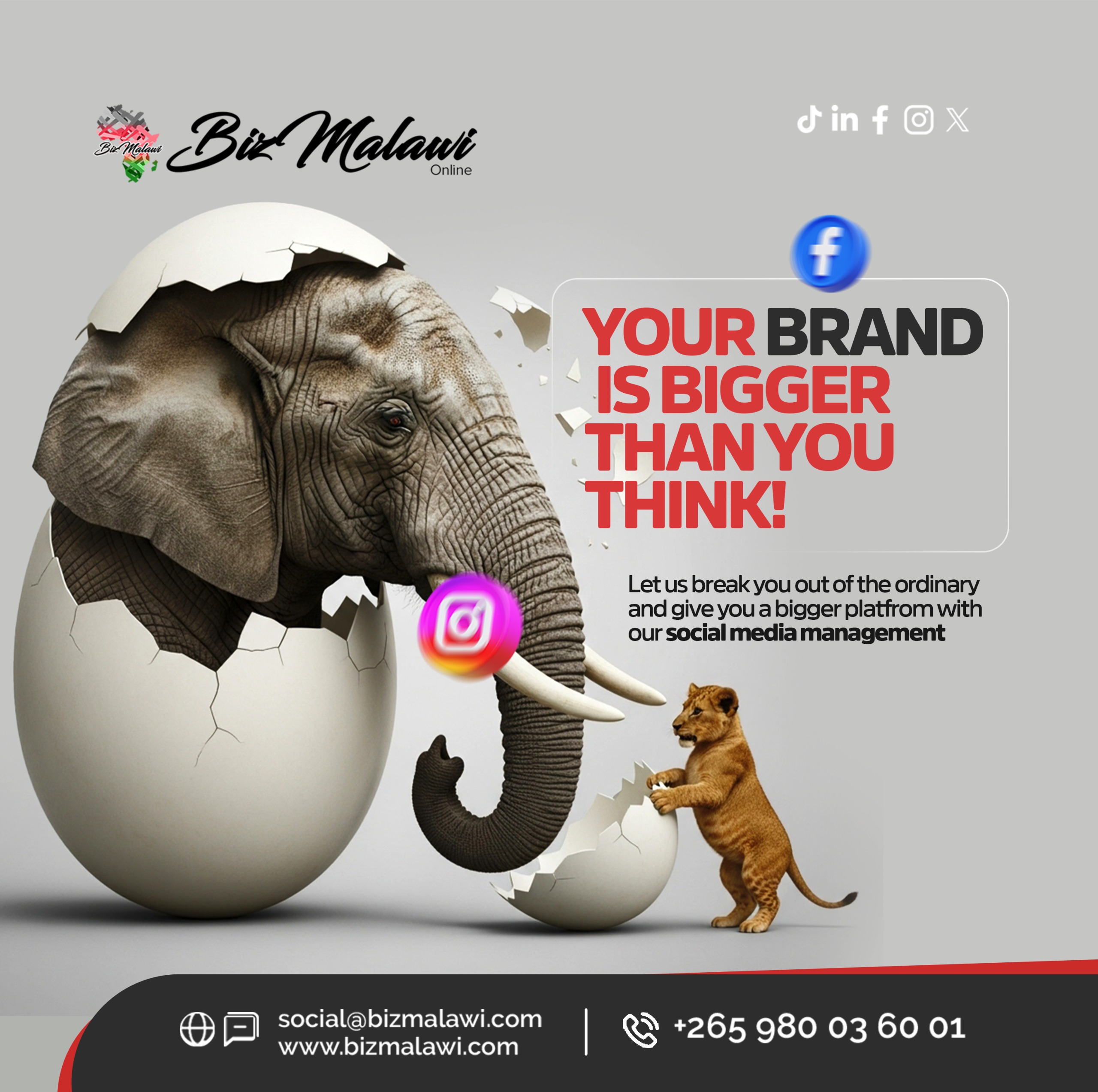 Hatch Your Massive Brand Potential Using...