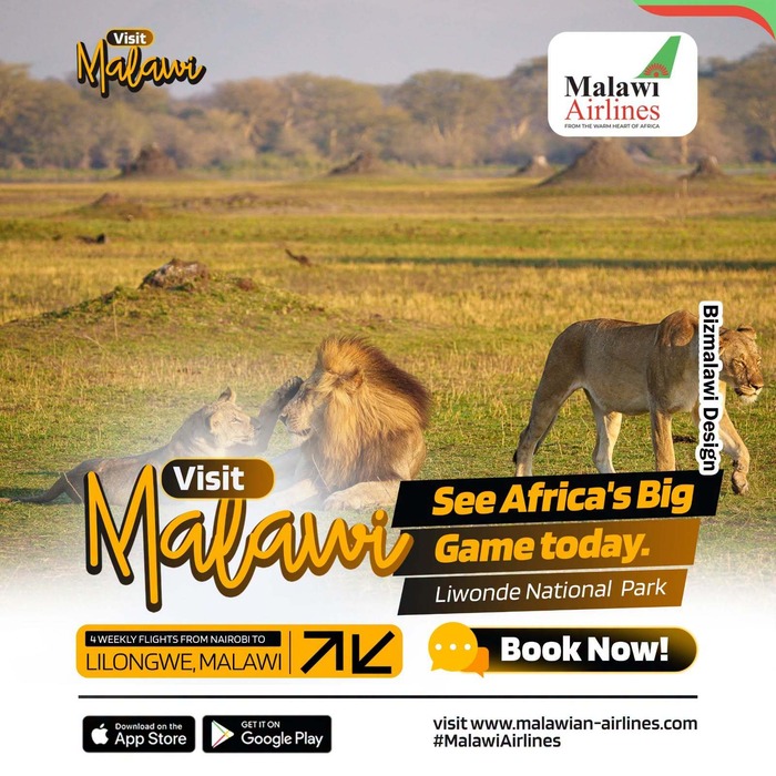 Africa's big game is waiting in Liw...